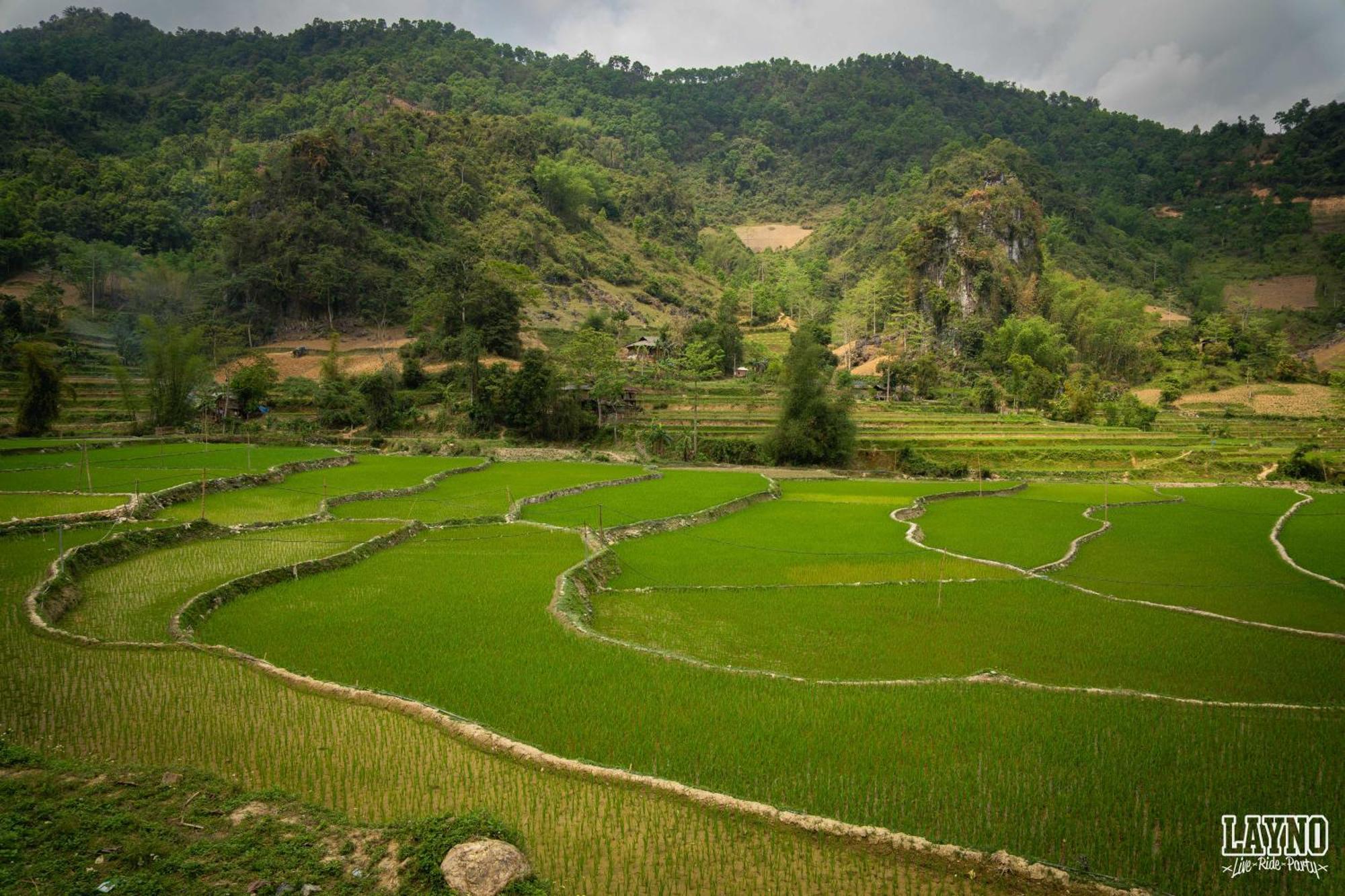 Quiri Hostel Ha Giang Lang Lap Esterno foto