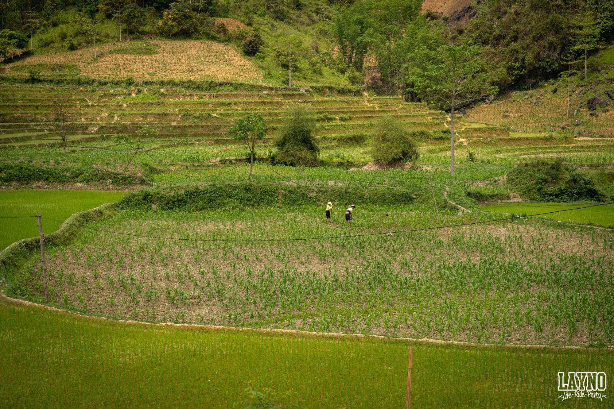 Quiri Hostel Ha Giang Lang Lap Esterno foto